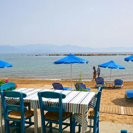 Francisco Hotel 2*