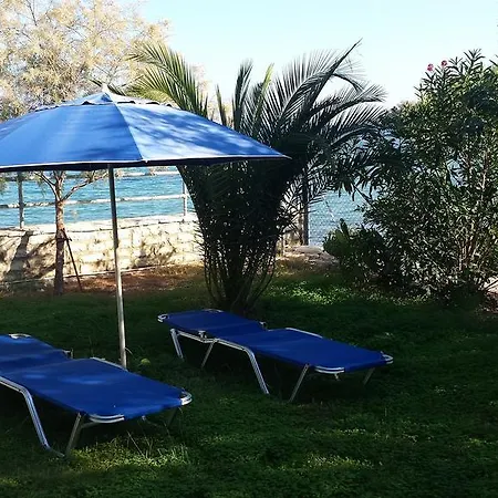 Francisco Agios Andreas (Messenia)